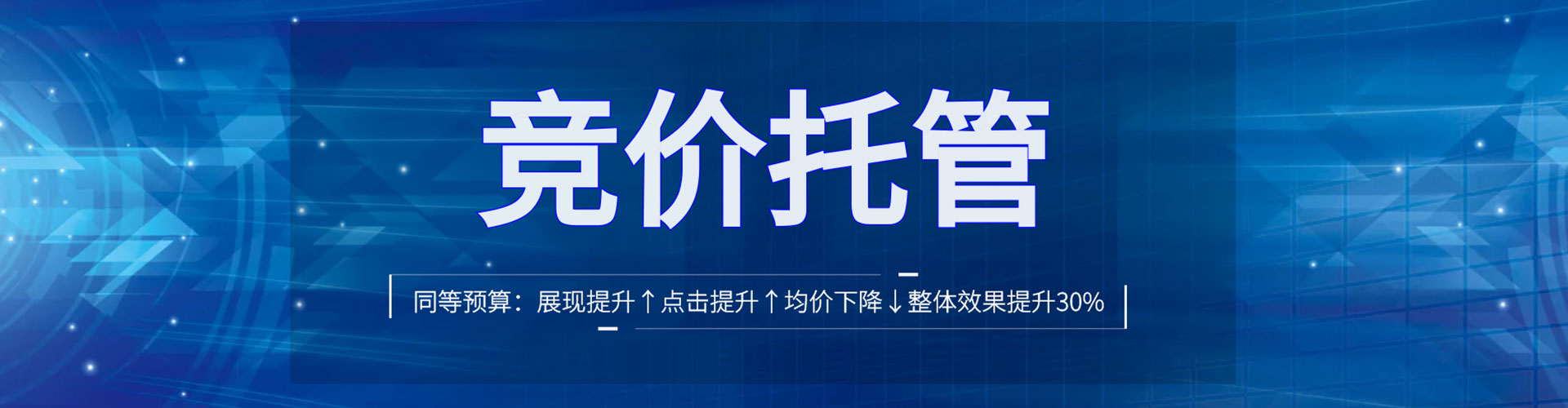 镇康竞价托管